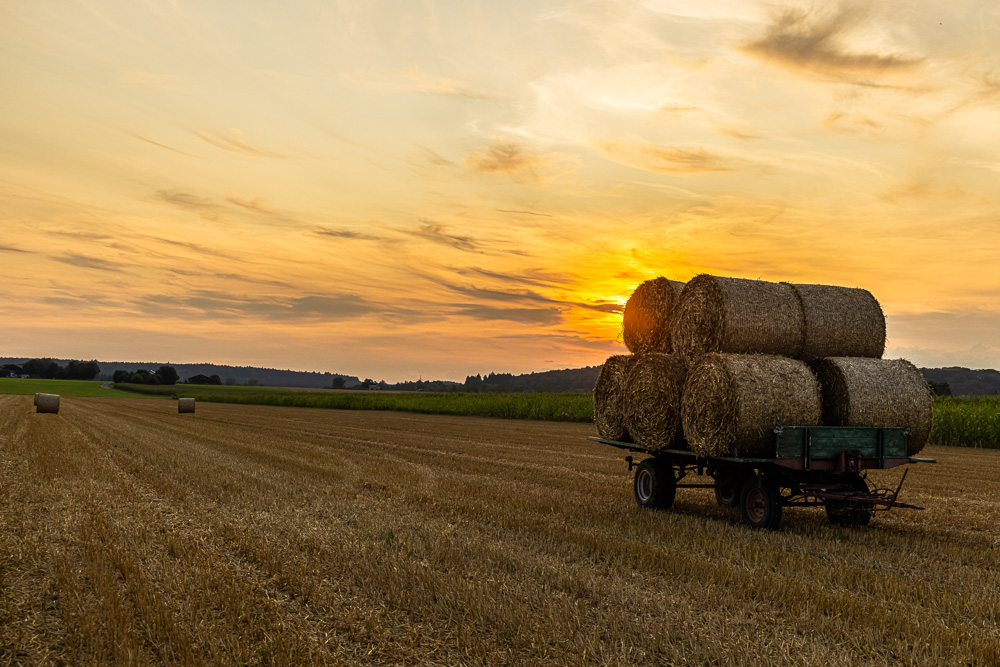 Platz 8 Conny Kleiner